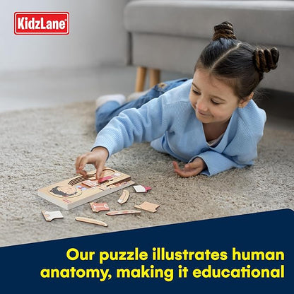 Kidzlane Wooden My Body Puzzle for Toddler - 5-Layer Girl Anatomy Puzzle - Real Wood - Multicolor - Educational Human Body Toy for Kids - BPA Free - Educational Toys