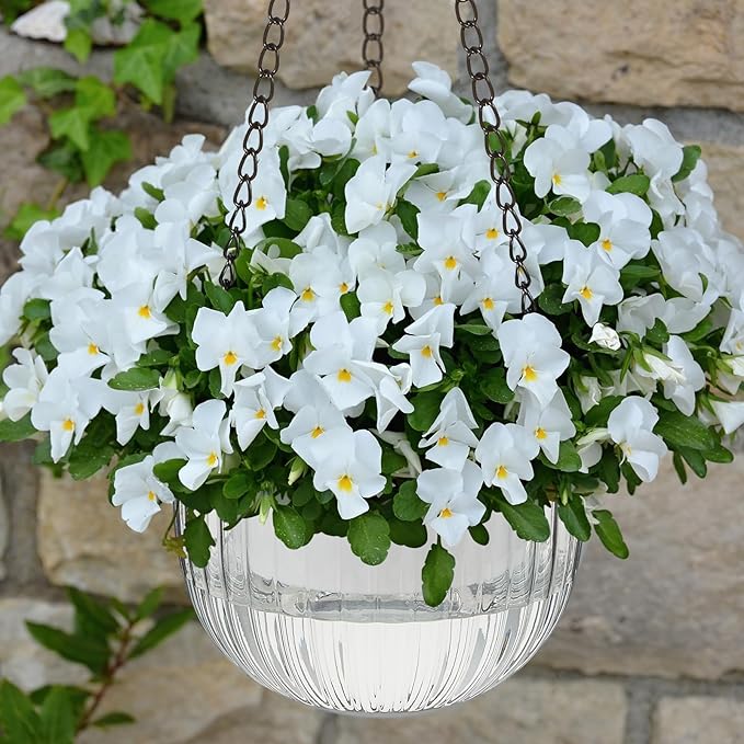 Meanplan 4 Pcs Self Watering Hanging Planter Indoor 6.5 Inch Hanging Baskets for Plants Outdoor Plastic Flower Pot with 3 Hooks Chains Drainage Holes for Garden Home, Medium Size(Clear)