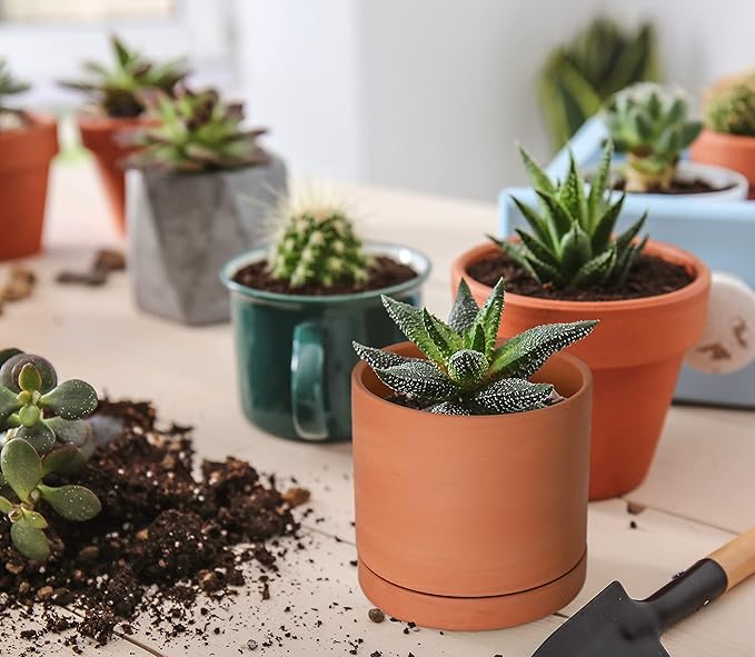 D'vine Dev X-Small 4 Inch Terracotta Plant Pot with Drainage Hole and Saucer, Round Cylinder Planter Pot for Indoor Plants, 40-X-A-1