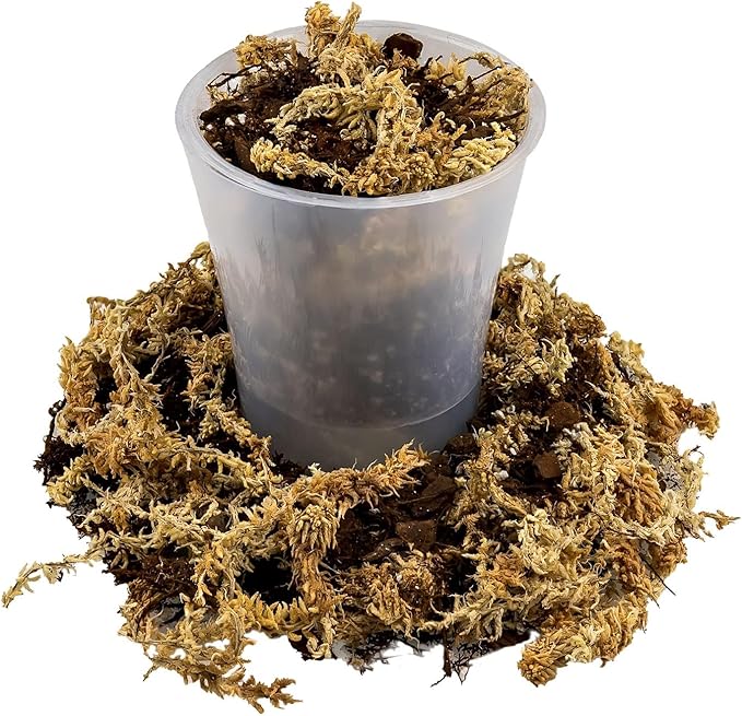 Premium Orchid Mix by GARDENERA - 20 Quart - Fern + New Zealand Pine Bark + Sphagnum Moss + Perlite | Best for Growing and Repotting Orchids (4 Bags of 5 QT)