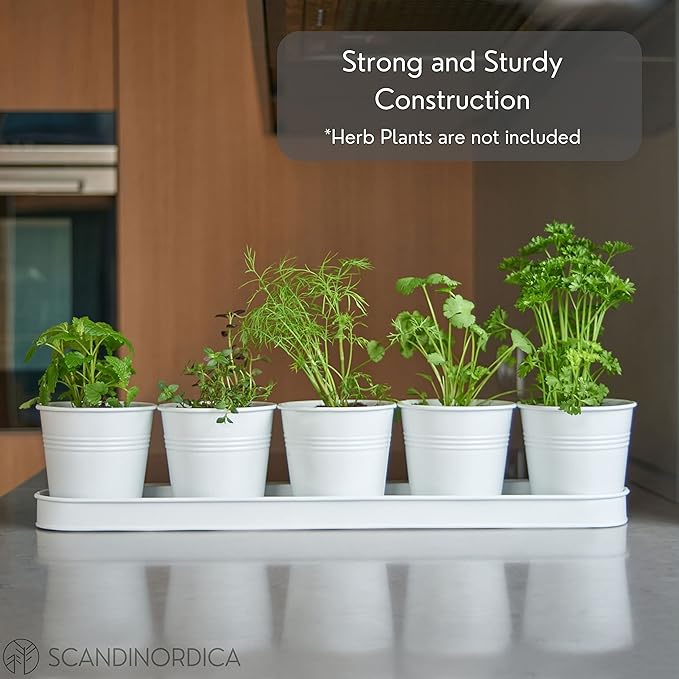 SCANDINORDICA White Herb Planter 5 Pots with Drainage Holes and Tray, Windowsill Planter, Indoor/Outdoor Herb Pots
