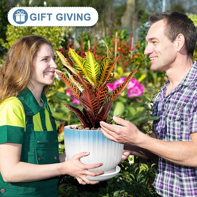 8 Inch Plant Pot, Ceramic Planter with Drainage and Saucer, Ceramic Pots for Plants, Indoor Plant pots,Ceramic Flower pots(Blue + White, Plants NOT Included)