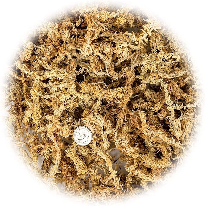 Premium New Zealand Sphagnum Moss by Gardenera - Organic Hand Mixed Long Fibered Sphagnum Moss Orchid - 4 Quart