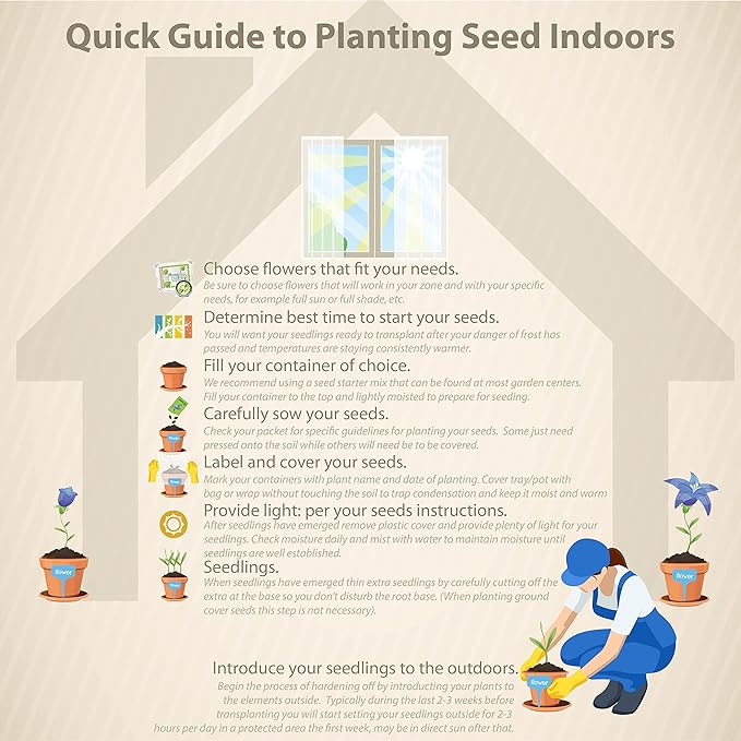 Outsidepride Cerise Queen Yarrow Seeds – 10000 Pcs. Perennial, Versatile, Clump-Forming, & Drought Tolerant Flower Seeds for Planting Fragrant & Vibrant Blooms, Ideal for Pollinator Gardens