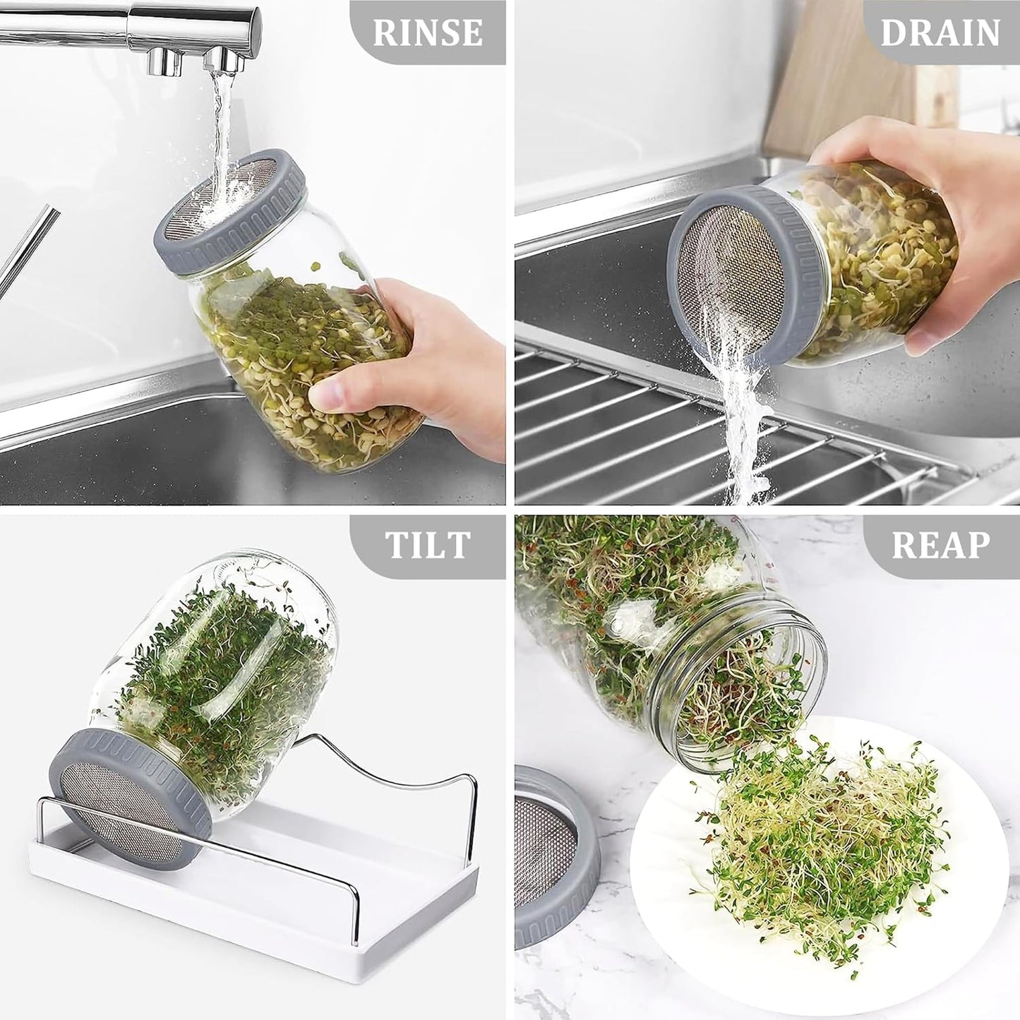 Organic Seed Sprouting Jar Kit – 2 × 32 oz Wide-Mouth Mason Jars with Stainless-Steel Sprouter Lids & Stand, Blackout Sleeves, Drain Tray – Grow Broccoli, Alfalfa & Bean Microgreens