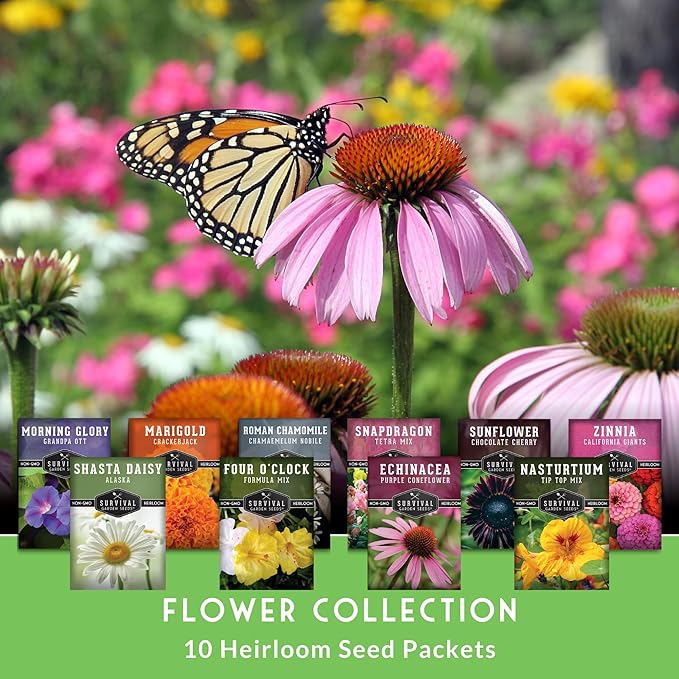 Survival Garden Seeds 10 Flower Collection - Four O’Clock, Chamomile, Shasta Daisy, Purple Coneflower, Marigold, Morning Glory, Nasturtium, Snapdragon, Sunflower, Zinnia - Non-GMO Heirloom Varieties
