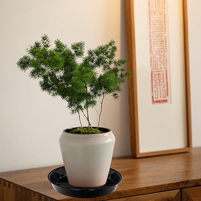 15 Pack Plant Saucer Drip Tray, 6 8 10 inch, Heavy Sturdy Plastic Planter Flower Pot Saucers for Indoor Outdoor Garden, Plant Water Drip Trays for pots Base (6"/8"/10", Black)