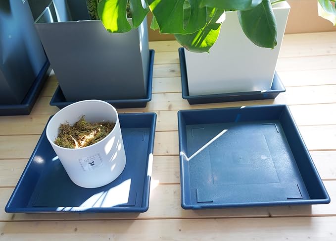 Square Plant Saucer 8 Inch 5 Pack, Plant Stand Plant Trays for Pots Heavy Duty Plastic Plant Saucers for Indoors Outdoors, Flower Pot No Holes Plant Lover Gardening Gifts