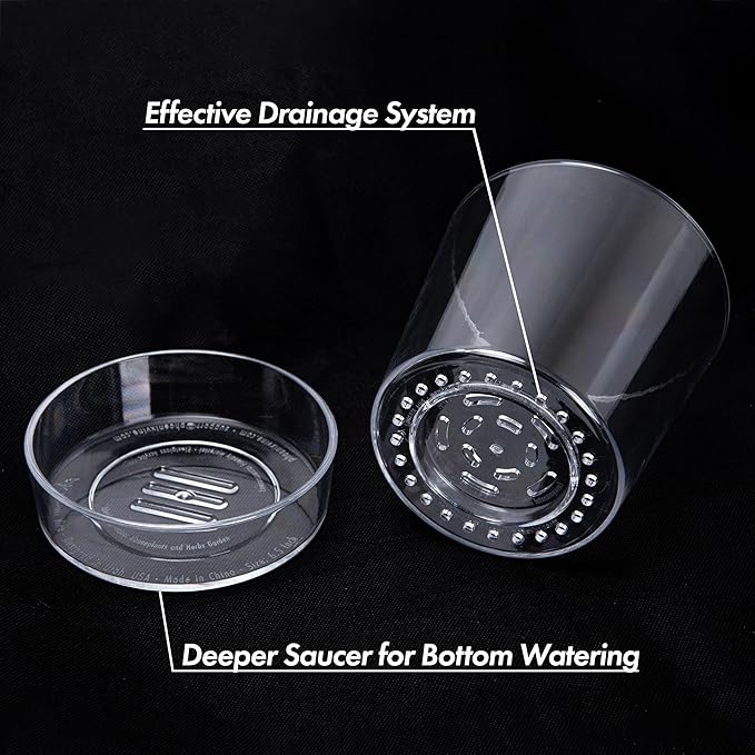 Phoenix Vine 6.5 Inch 4.5 Inch Clear Acrylic Houseplants Planter Pot with Tray, Orchid Pot with Drainage Holes, Deep Saucer for Bottom Watering, Modern Transparent Containers for Indoor Plants, Herbs,