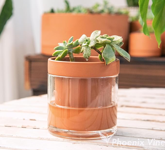 Phoenix Vine 4 Inch Self Watering Planter Pot, Terracotta Clay Pot with Glass Reservoir for Indoor Plants, Herbs, Flowers, Set of 2, 52-A-E-2