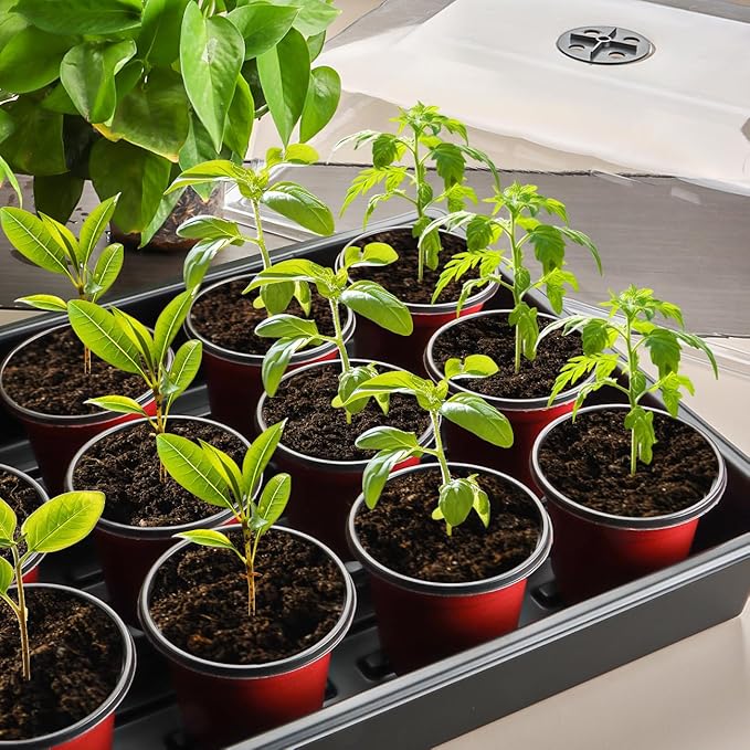 Anti-drip Seedling Starter Trays with 4" Dome, 5set Seed Starting Tray with Humidity Cover and Drip Tray, Drip Proof Mini Propagator Plant Grow Kit for Herb Seedling Propagation Growing