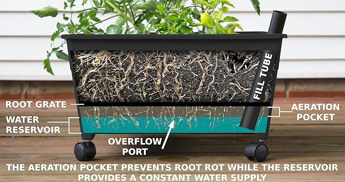 Emsco Group City Picker Raised Bed Grow Box – Self Watering and Improved Aeration – Mobile Unit with Casters