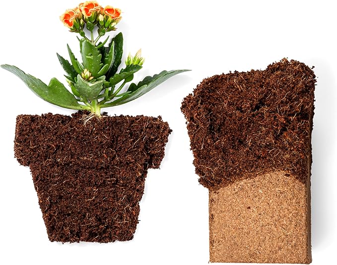 Coco Bliss Coco Coir Bricks (50-Pack, 650gm Bricks) - Organic Coco Coir for Plants - OMRI-Listed Coconut Coir for Plants - Coconut Coir Bricks - Coco Peat for Plants, Garden Soil, & Organic Mulch