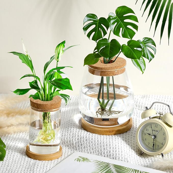 Layhit 4 Pcs Plants Propagation Stations Separated Desktop Plant Terrarium Glass Planter Vase with Wooden Lid and Bamboo Stand for Growing Hydroponic Home Office Tabletop Decoration (Classic Style)