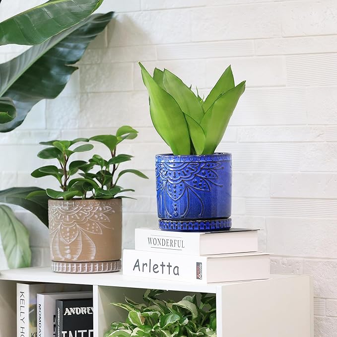 Ceramic Pots for Indoor Plants with Drainage Holes and Saucers, Ceramic Planter for Plants, Flower Pot - Set of 2