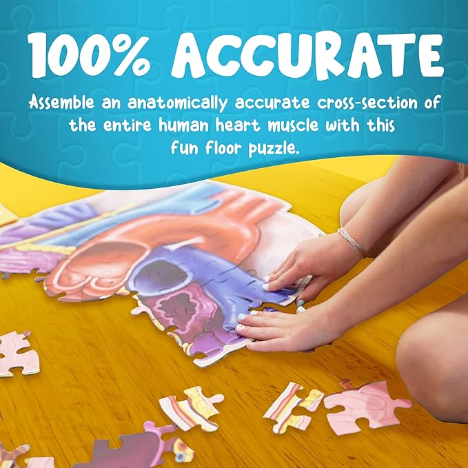 Human Heart Anatomy Floor Puzzle — Genius Games Doctor Livingston Jr Anatomy Toy - Kids Puzzles & Science Toys - Human Heart Model - 100 Piece Jigsaw Puzzles for Kids, Toddlers, Teens