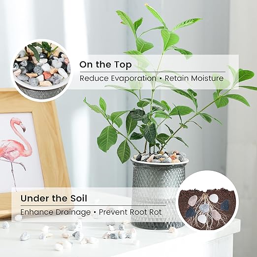 SIDONG 10 LB Natural Mixed Color Gravel Pebbles, 2/5 Inch Small Pea Gravel Stones, Decorative River Rocks for Succulents, Aquariums, Vases, Indoor Plants, Garden Landscaping, DIY