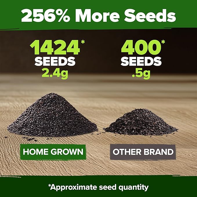 HOME GROWN 𝗨𝗦𝗔 𝗣𝗥𝗘𝗠𝗜𝗨𝗠 Italian Basil Seeds Bulk Pack 1,424 Sweet Large Leaf Basil Seeds for Planting 𝗡𝗢𝗡-𝗚𝗠𝗢 and Heirloom Herb Seeds for Planting Indoors or Outdoors (Ocimum basilicum)