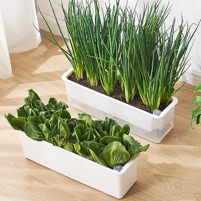 FAMZ Self Watering Pots 3 Pack,Transparent Rectangular Planting Pots, Self Watering Pots for Indoor Plants, Suitable for Growing African Violets, Fruits, Vegetables, Flowers, Plant Pots,Herb Planter