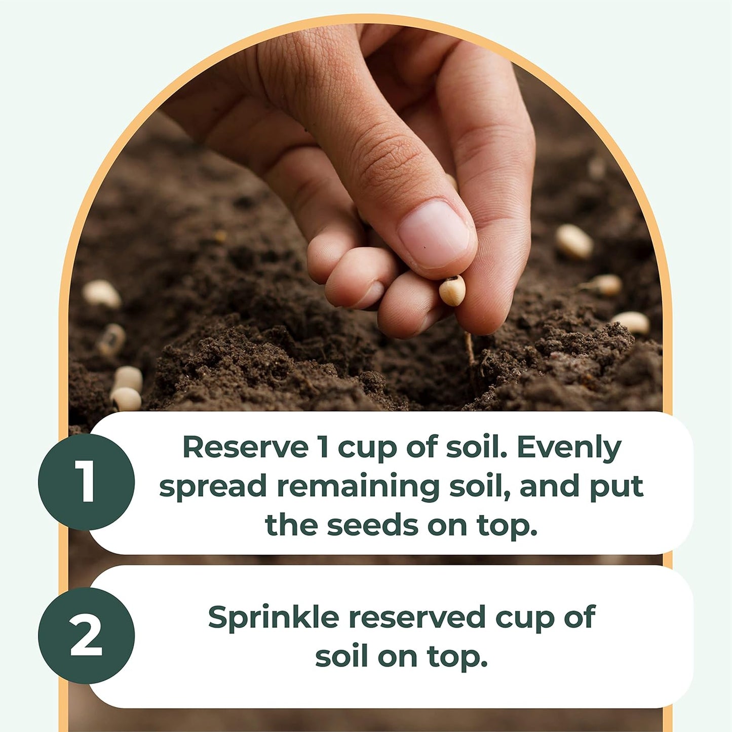 Window Garden Microgreens Grow Kit - Non GMO, Organic Microgreen Seeds, Fiber Soil, Acrylic Tray, Sprayer - Indoor & Outdoor Tools for Gardening, Seedling, Planting Superfood, Hydroponic Growing Kit