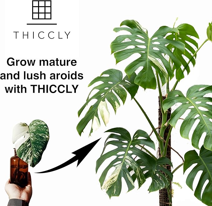 Plastic Moss Poles for Climbing Plants V2 Large 5 Pcs Stackable Moss Pole Monstera Plant Support-Plant Climbing Pole, DIY Moss Pole for Plants Indoor, Plant Sticks Support by THICCLY