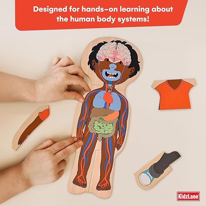 Kidzlane African American Boy Wooden My Body Puzzle for Toddlers and Kids - 29 Piece Girls Anatomy Puzzle - Anatomy for Kids, Skeleton Toys for Ages 3 Plus