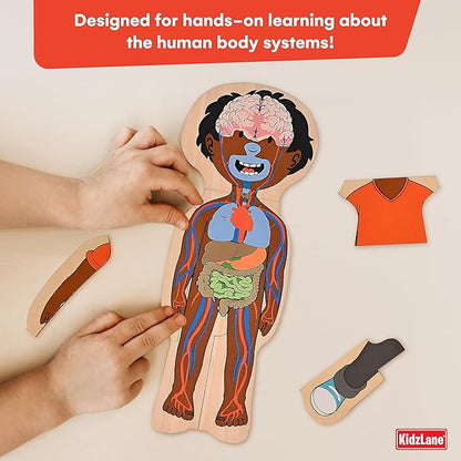 Kidzlane African American Boy Wooden My Body Puzzle for Toddlers and Kids - 29 Piece Girls Anatomy Puzzle - Anatomy for Kids, Skeleton Toys for Ages 3 Plus