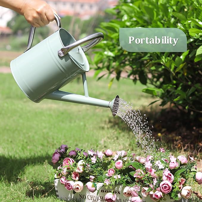 Watering Can for Outdoor Plants and Indoor Plants,1 Gallon Metal Watering Can for Garden Flower,Galvanized Steel Metal Water Can Watering Pot with Sprinkler Head