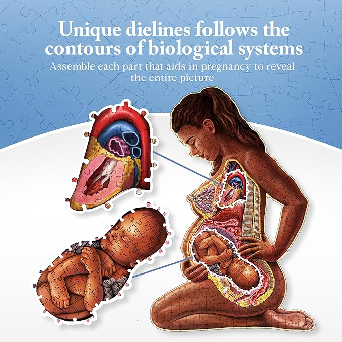 Pregnant Mother Anatomy Jigsaw Puzzle | 488-Piece Science Accurate Adult Puzzle | Educational and Entertaining 3ft x 2ft Poster Size Puzzle | Ideal Gift for Mothers, Educators & Medical Professionals