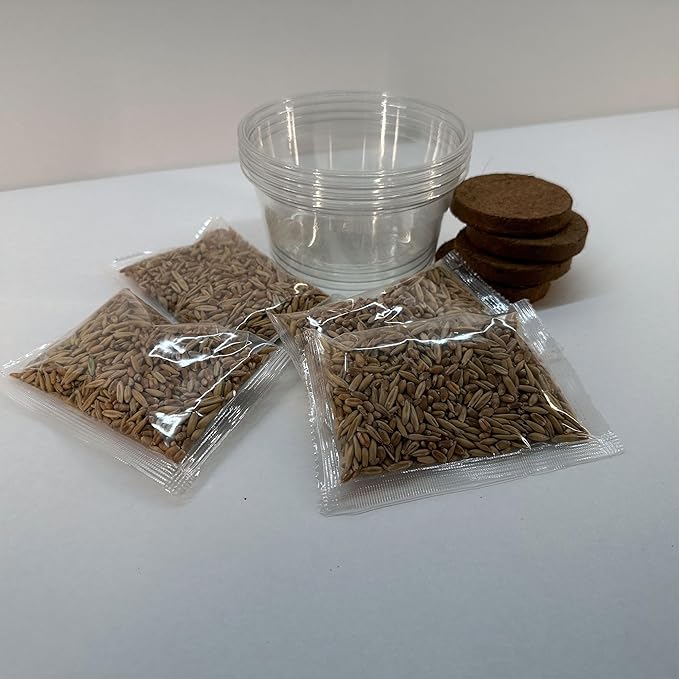 Organic Cat Grass Premium Grow Kit 4 Pack | Non GMO Mixed Heirloom Seeds | Wheatgrass - Oat Grass - Barley Grass Blend