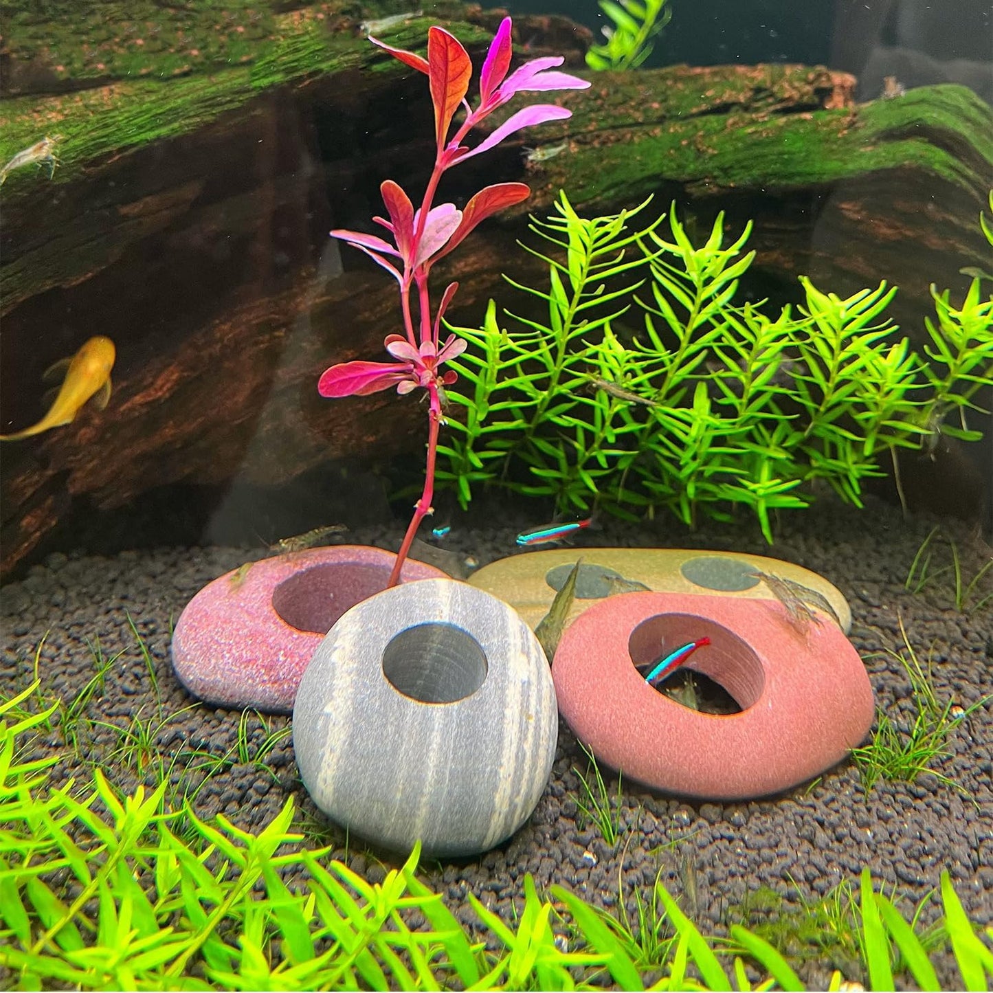 Natural River Stone Plant Weights for Aquarium, Handmade Pebble Anchors for Aquatic Plants, Fish Tank Decorations, Unique Shape & Size, Landscape Plant Weights (1.2″ Hole 5pcs)