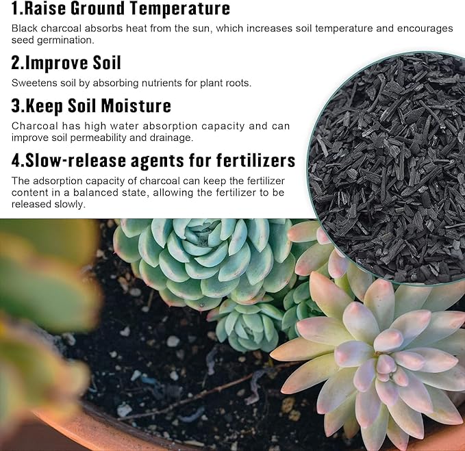 Legigo 2QT Horticultural Charcoal for Plants- Plant Charcoal Hardwood Biochar Soil Amendment, Activated Charcoal for Soil Amendment, Terrariums, Indoor Plant