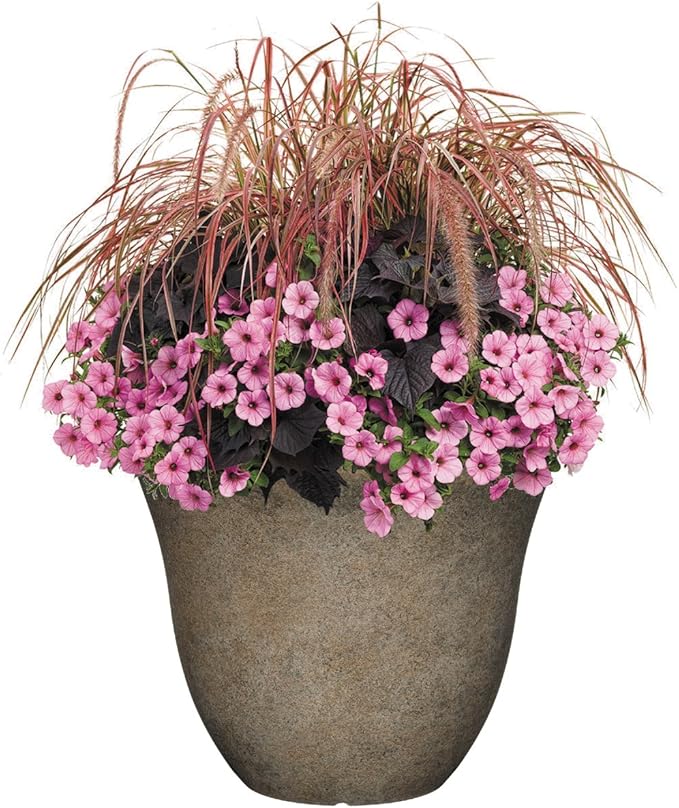 Classic Home and Garden Honeysuckle Resin Flower Pot Planter, Fossil Stone, 15" (Pack of 2)