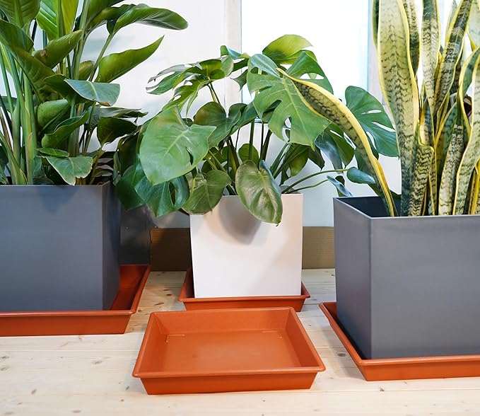 Square Plant Saucer 8 Inch 5 Pack, Plant Stand Plant Trays for Pots Heavy Duty Plastic Plant Saucers for Indoors Outdoors, Flower Pot No Holes Terracotta Plant Lover Gardening Gifts