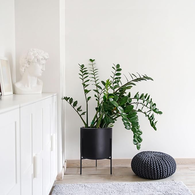 D'vine Dev Modern Black Plants Pot Cylinder Planter with Heavy Duty Stand, X-Large 14 Inch Pot, 19.6 Inch with Stand Height, 96-T-B-4