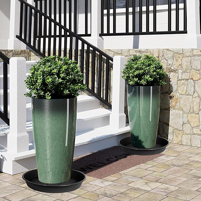 6 Pack of Plant Saucer Tray 7 8 inch, Heavy Duty Plastic Pot Plant Drip Trays Saucers for for Indoors Outdoor, Plant Water Tray for Planters 7-9" (8", Black)