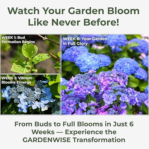 Slow Release Hydrangea Fertilizer with Iron & Sulfur – Indoor & Outdoor Soil Acidifier for Miracle Growth (12 oz)