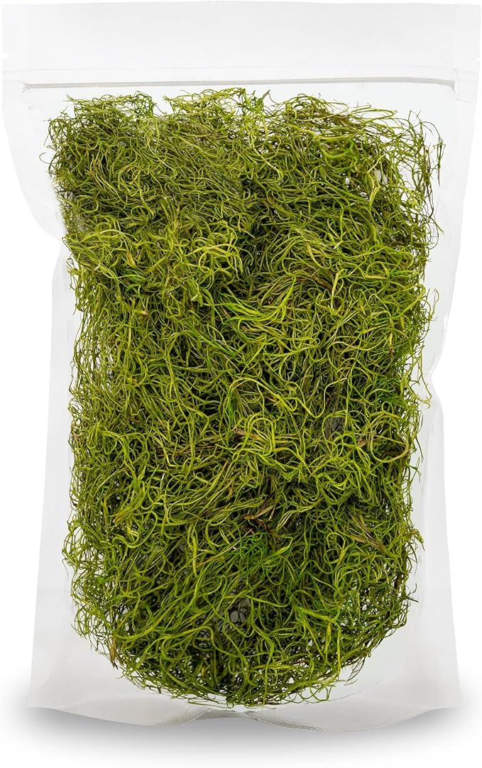 Premium Spanish Moss in Spring Green| Natural Preserved - 20 Quart - Great Ground Cover - Filler for Potted Plants - by GARDENERA (4 Bags of 5 Quart)