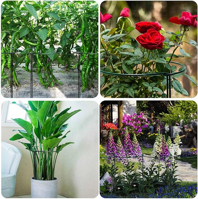 TCBWFY 24" Hx12 D Plant Supports Stakes for Large Heavy Plants,6 Pack Peony Supports,Heavy Duty 5mm Wire Peony Cages,Interlock Garden Supports Ring Border Support,Plant Support Cage for Rose Flowers