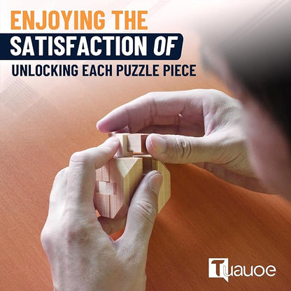 Wooden Brain Teaser Puzzles, 9pcs 3D Brain Teasers for Adults Teens Kids, Logic Mind Puzzle Box Lock Toy Removing Assembling 3D Small Puzzle Gift Set, Small 3D Unique IQ Hand Puzzles