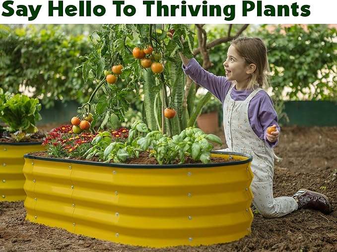 Galvanized Raised Garden Beds Outdoor // 4×2×1 ft (2-Pack) Planter Raised Beds for Gardening, Vegetables, Flowers (Yellow) // Large Metal Garden Box