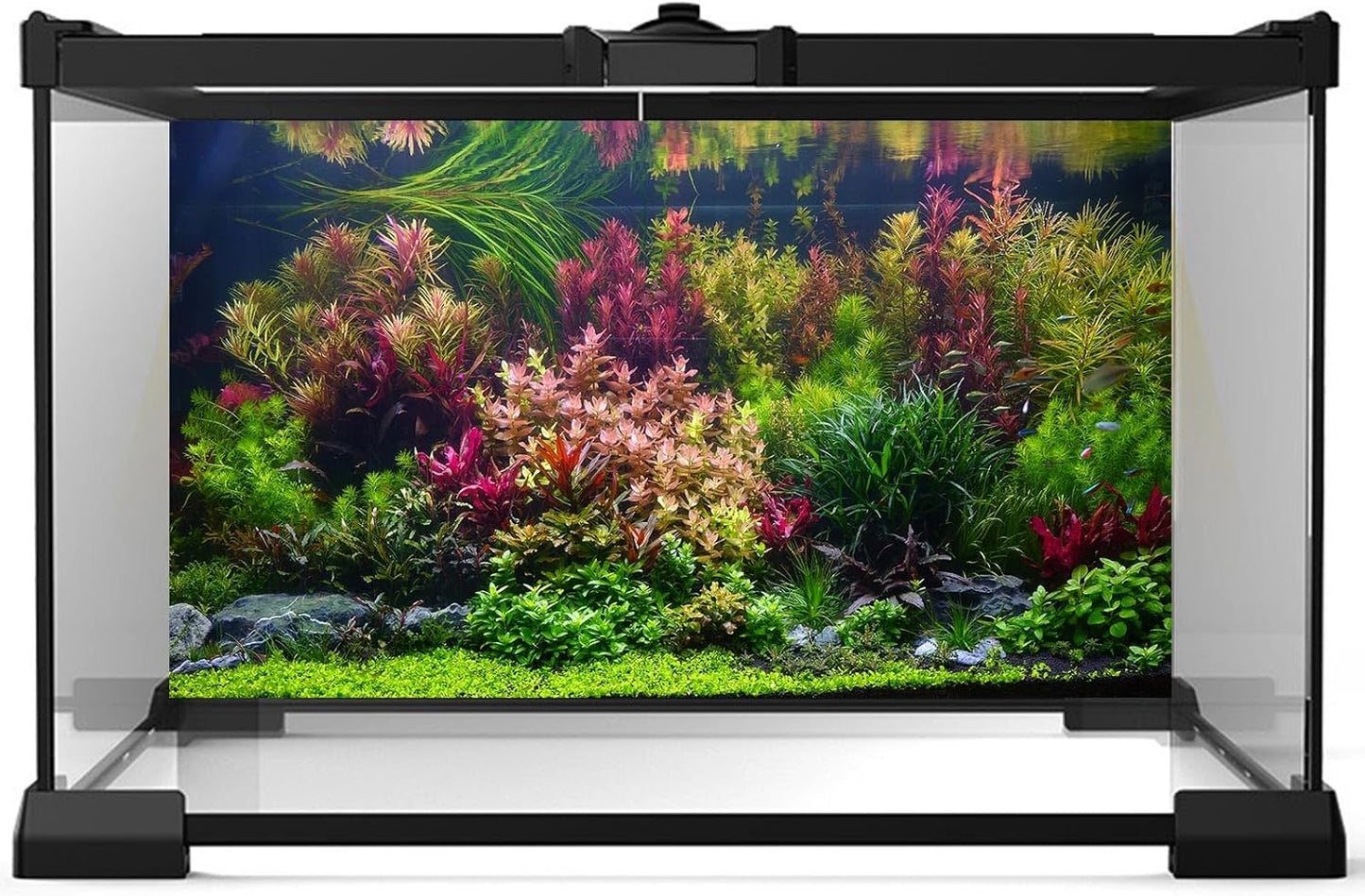 Aquarium Background Various Vivid Fresh Underwater Aquatic Plant Fish Tank Aquarium Backdrop Stone River Bed and Lake Fish Terrarium Background Decor Vinyl 24x16in