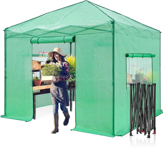 EAGLE PEAK 10x10 Portable Walk-in Greenhouse, Pop-up Indoor Outdoor Garden Green House, Zippered Doors and Windows, PE Cover, Green