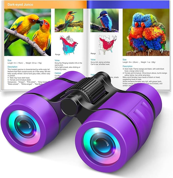 Girls Toys Age 3-7: LET'S GO! Compact Bird Watching Binoculars for Kids Ages 3 4 5 6 7 Year Old Girl Boy Gifts Idea Outside Travel Educational Toy for Kid Preschool Toddler Stocking Stuffers