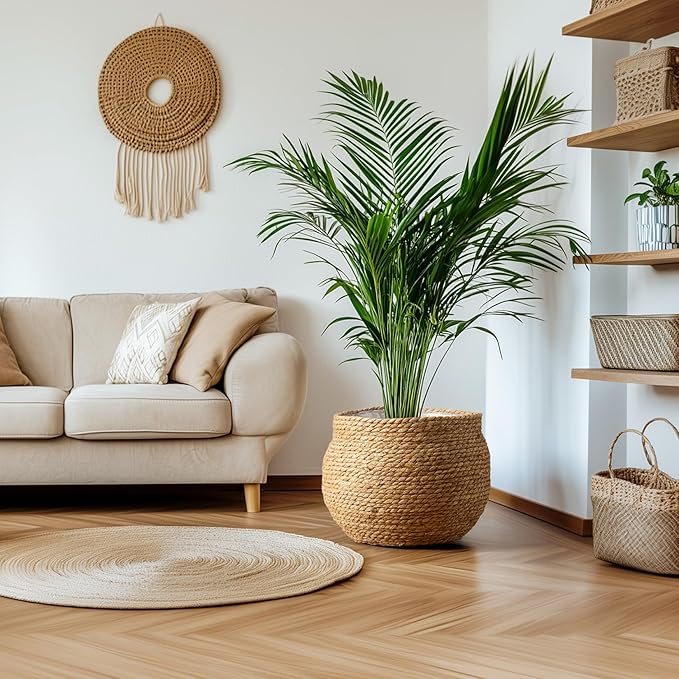 LA JOLIE MUSE Natural Seagrass Large Planter, Plant Pots Cover, Indoor Planters Flower Pots, 13.5+12+9 inch Pack 3, Brown