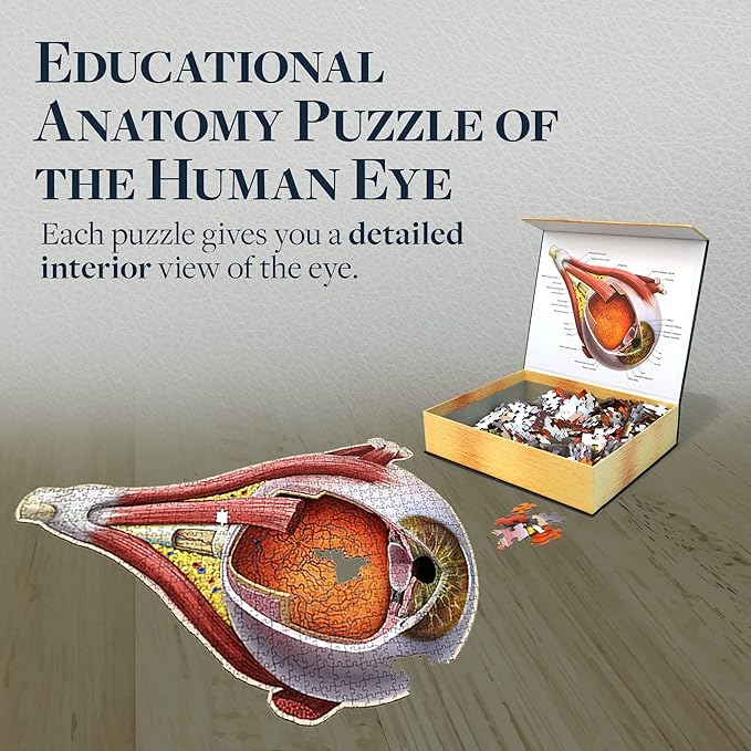 Dr. Livingston's Human Eye Anatomy Puzzle - A Medically Accurate Jigsaw Puzzle of The Human Eye - Educational Science Puzzles and Unique Gifts for Eye Doctors, Nurses and Medical Students