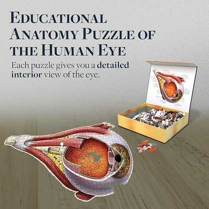 Dr. Livingston's Human Eye Anatomy Puzzle - A Medically Accurate Jigsaw Puzzle of The Human Eye - Educational Science Puzzles and Unique Gifts for Eye Doctors, Nurses and Medical Students