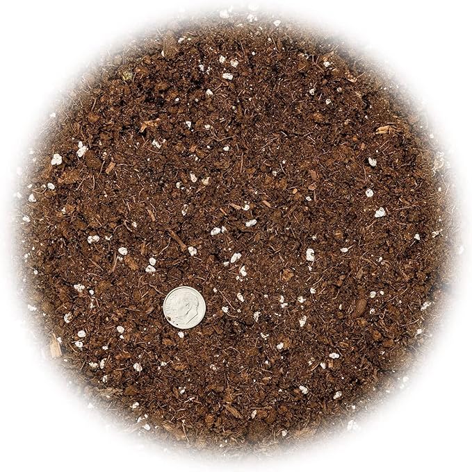 Premium Bamboo Potting Soil Mix - (2 Quart Bag)