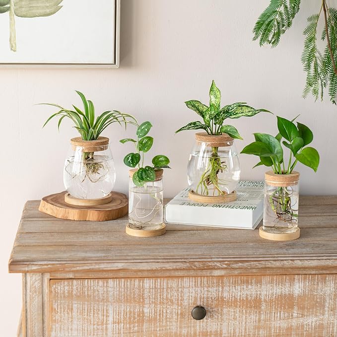 Dahey 4 Pcs Plant Propagation Stations Desktop Propagated Plant Jars Terrarium Glass Planters with Wooden Base and Lid Hydroponic Vase for Indoor Plants Tabletop Home Office Decor