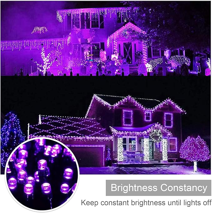weillsnow Purple Christmas Lights, 200 LED 66Ft Plug in Waterproof Christmas String Lights, 8 Modes with Memory for Outdoor Indoor Garden Tree Patio Christmas Decorations (66FT, Purple)